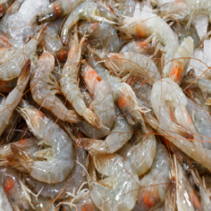 Frozen Prawn