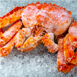 Frozen Seafood 4