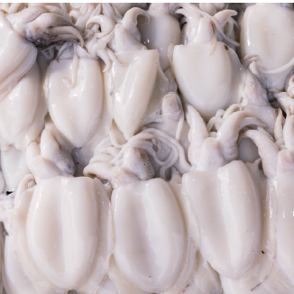Frozen Seafood 5