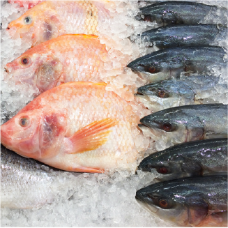 Frozen Seafood 6